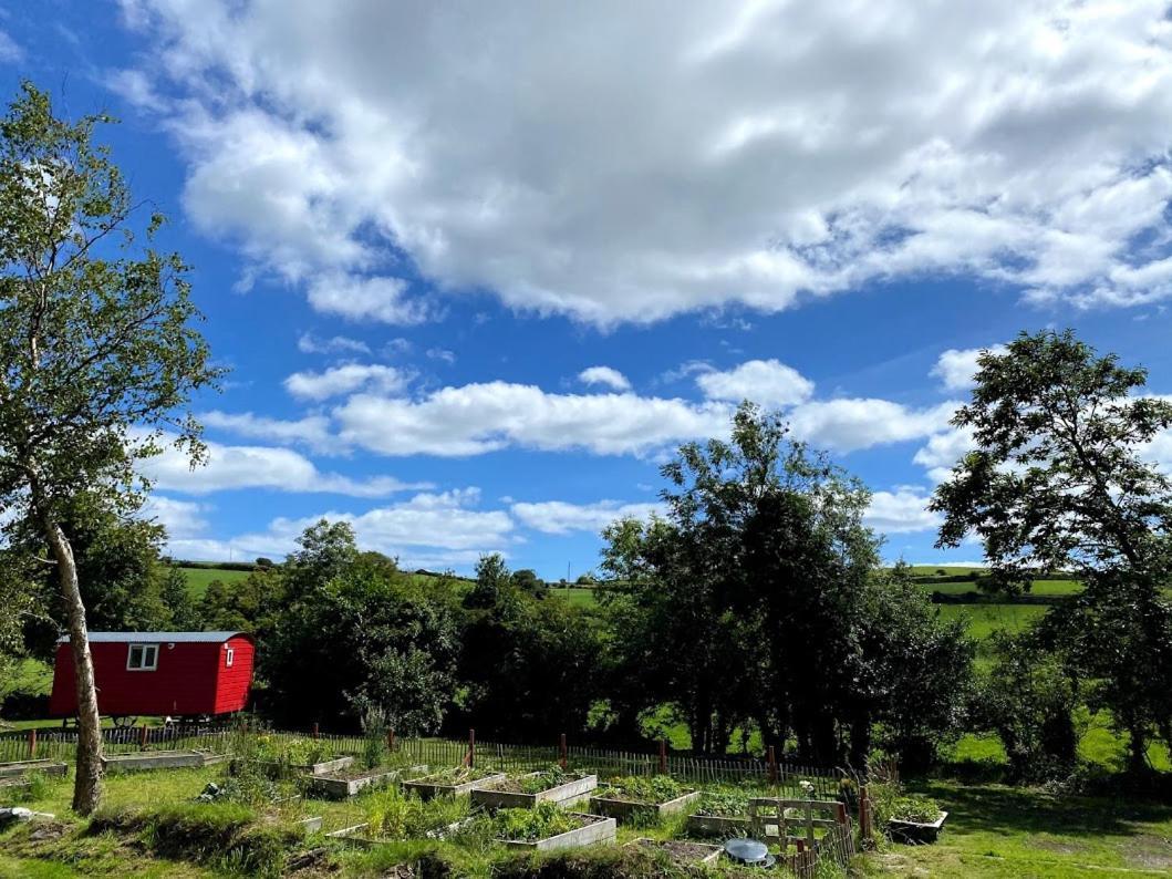 Ballyroe Accommodation Leap Buitenkant foto